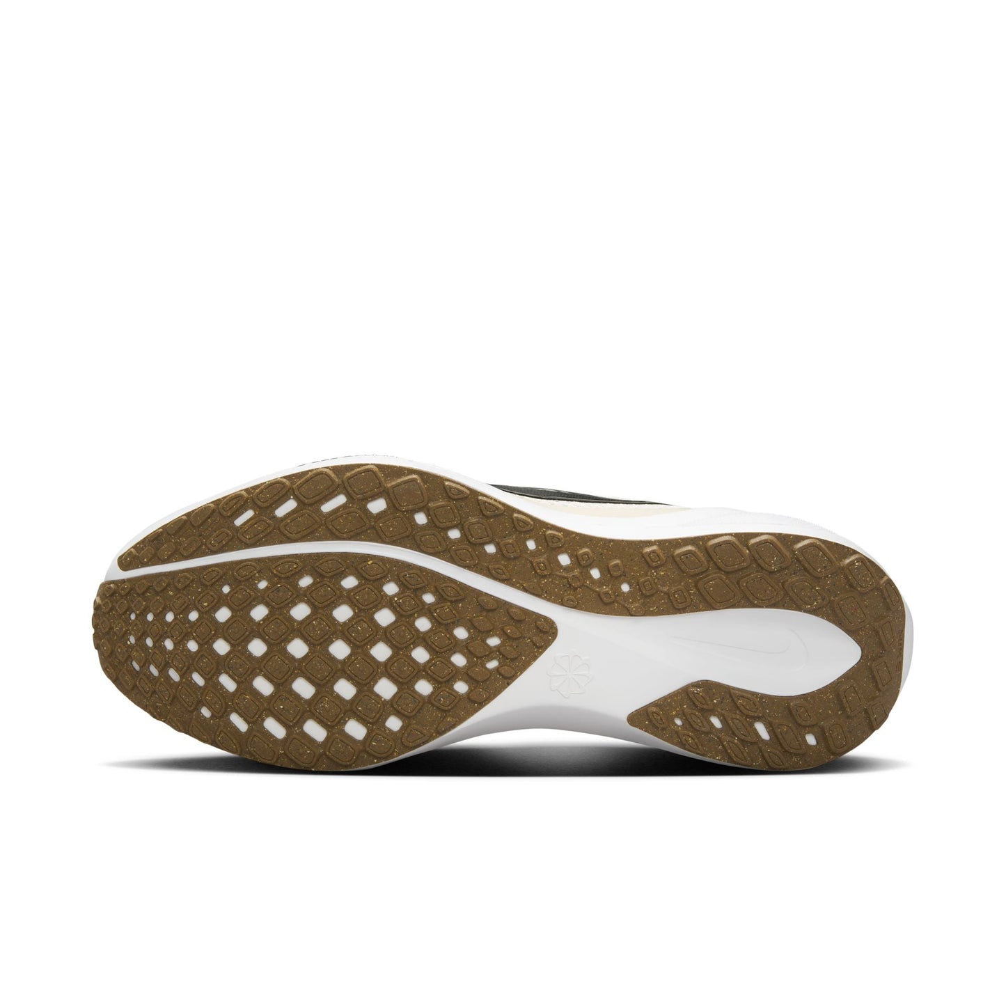 Pegasus 41 - Women's