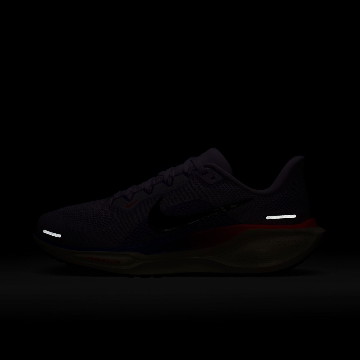 Pegasus 41 - Women's