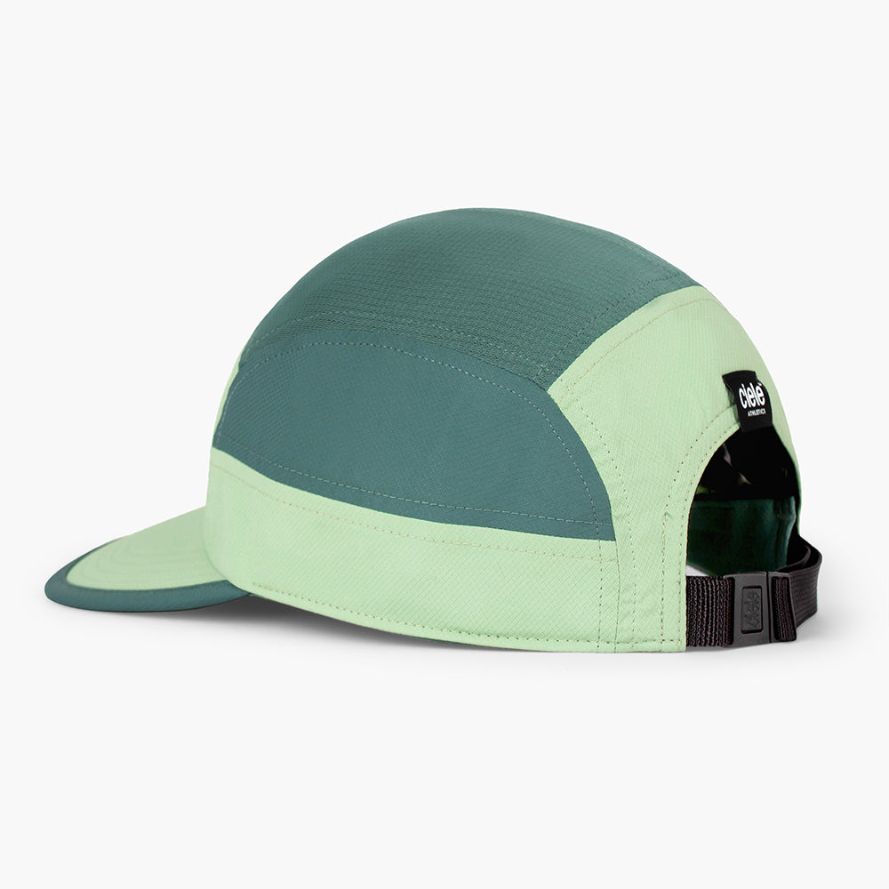 GOCapSC - Classic CPlus Box - Pistachio/Silver Pine