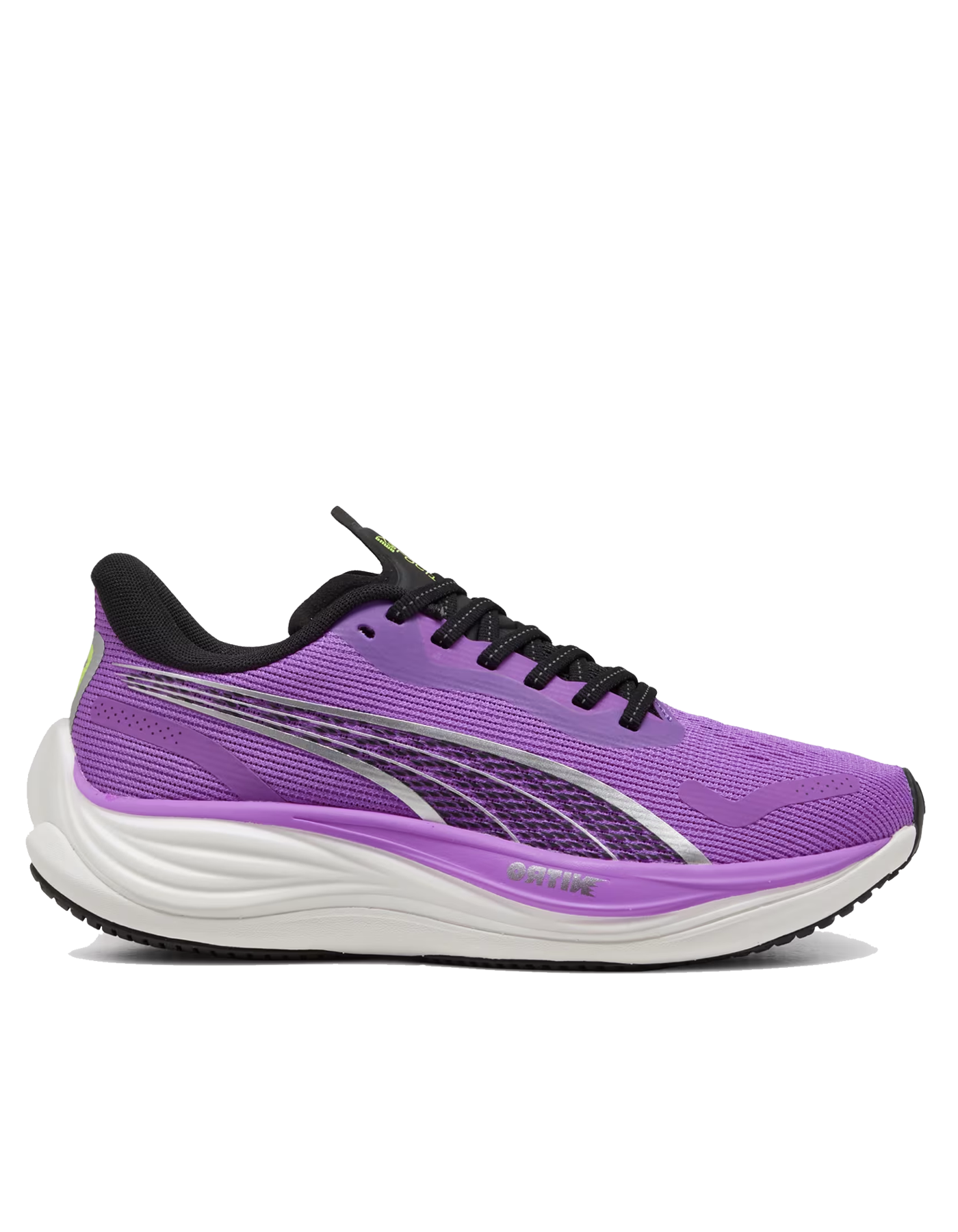 Velocity NITRO 3 - Women's
