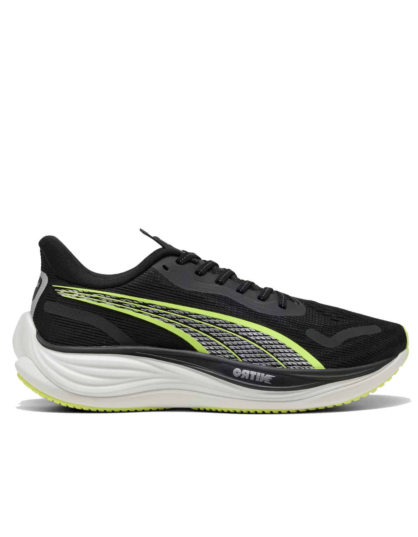 Velocity NITRO 3 - Men's