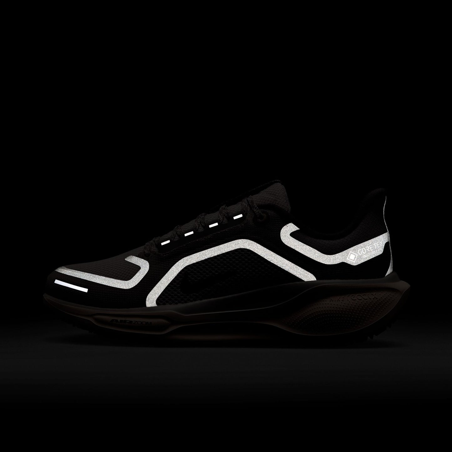 Pegasus 41 GTX - Women's