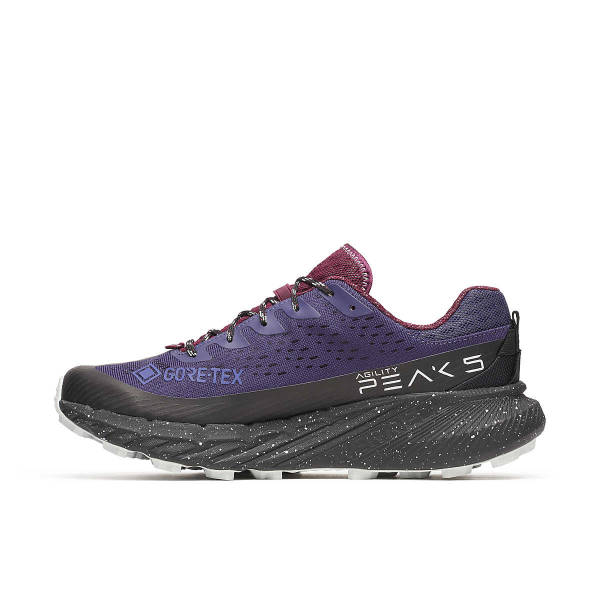 Agility Peak 5 GTX - Men's