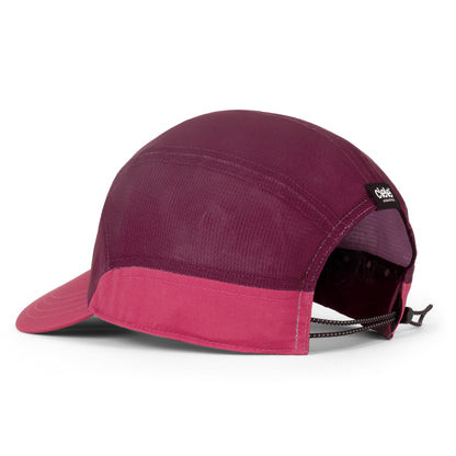FSTCapSC - Comp - NinetySL - Mulberry Bocasana